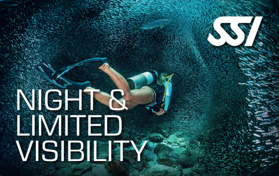 night-and-limited-visibility-specialty-fuerteventura-diving