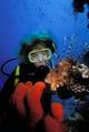 Catalina Island Diving - Double Tank