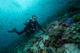 Open Water Diver Course