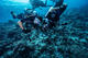 Open Water Diver Course