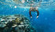 Double Snorkeling Trip