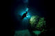Night Dive Specialty Course