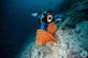 Try Dive