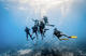 Inmersión en Titan Blue Divers 