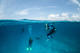 Double dive in Playa del Carmen