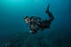 Fun Dive by boat at Ocean Addicts Tarifa