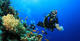 Open Water Diver Course