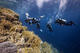 Double dive in Playa del Carmen with Be Diving