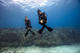 Double Try Dive