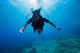 Open Water Diver Course Bronze Pack
