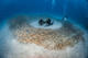 Double Fun Dive with equipment at Deep Fin Tenerife