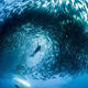 4 Nights and 6 Dives | Hotel Indigo