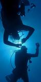 Divemaster in Azores