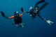Open Water Course