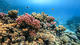 Fun Dive from the beach with equipment