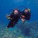 Try Dive from the beach