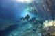 Double Dive in Cenote Dos Ojos