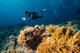 Advanced Open Water Course