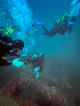 Fun Dive at El Carbonero - Moondive | Scuba Finders