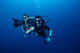 Fun dive from the shore