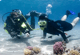 Try-Dive from the boat in Sahl Hasheesh