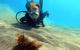 Pack 2 guided fun dives in Tenerife