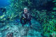 Fun Dive in Bajo de Fuera at Mangamar