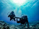 Open Water Diver Course
