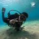 Try Dive
