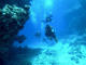 Fun Dive at Octopus Scuba