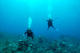 Double dive in Playa del Carmen
