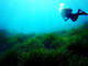 Double Fun Dive at Buceo Aguadulce
