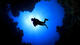 Deep Diver Specialty 