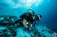 Open Water Diver Course