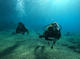 Open Water Diver Course