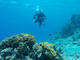 Discover scuba dive from shore