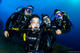 Fun Dive at Buceo El Bajón