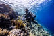 Open Water Diver Course