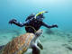 Open Water Diver Course