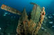 Fun Dive in La Draga wreck with your own gear at Manta Diving
