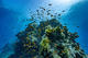 Open Water Diver Course