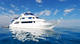 St. John's 7 nights Lady M