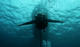 Conscious Diving Experience