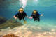Discover Scuba Diving