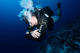 Fun Dive from Beach with Ocean Addicts Tarifa
