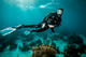 Rescue Diver course with Scuba Dive Pro