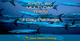 3 Day Dive Package - Khao Lak