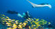 Raja Ampat 10 nights