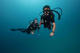 Double Fun Dive at Cozumel