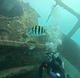 Advanced Open Water Diver Course